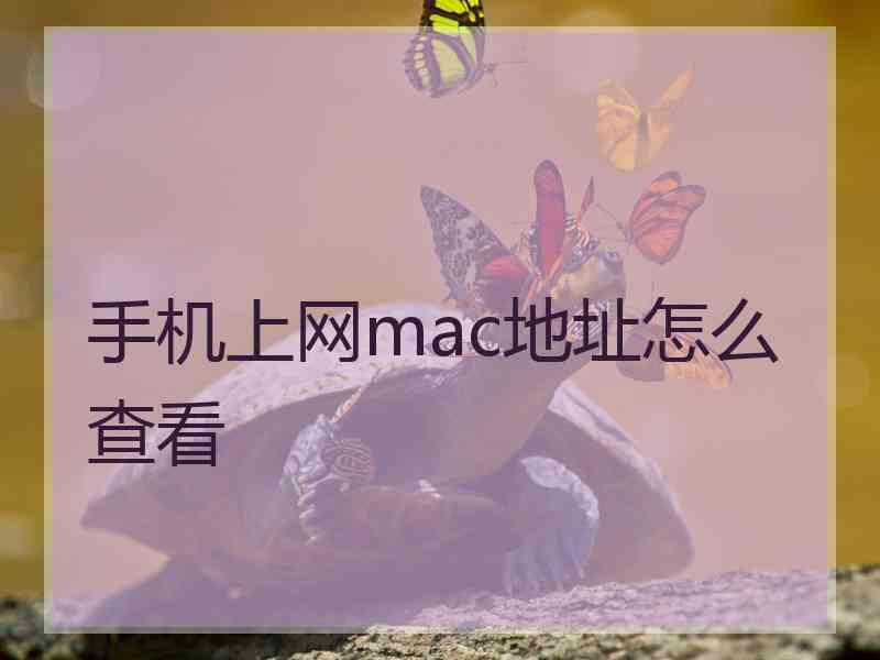 手机上网mac地址怎么查看