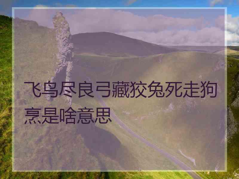 飞鸟尽良弓藏狡兔死走狗烹是啥意思