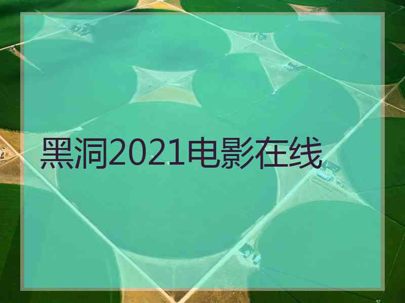 黑洞2021电影在线