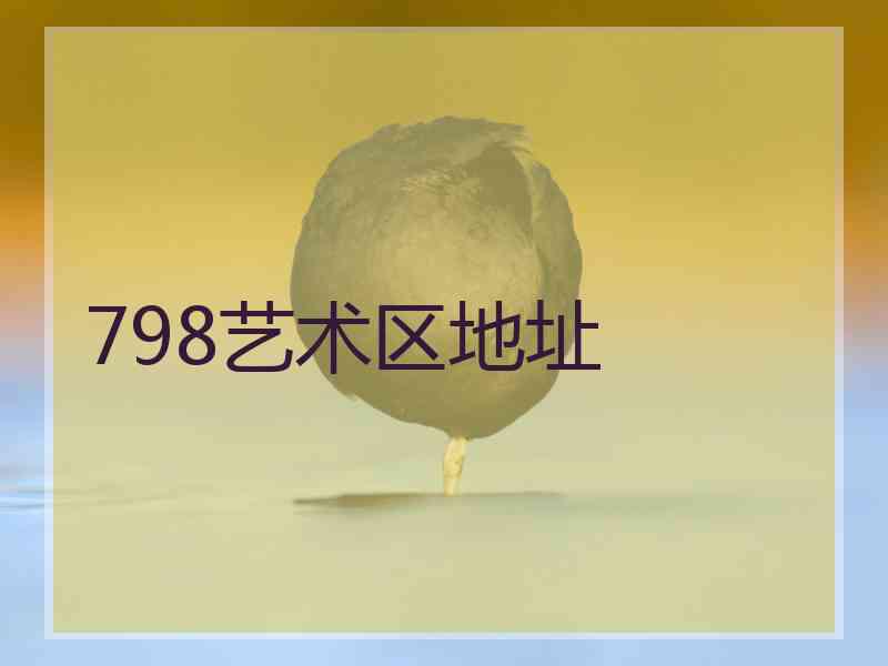 798艺术区地址