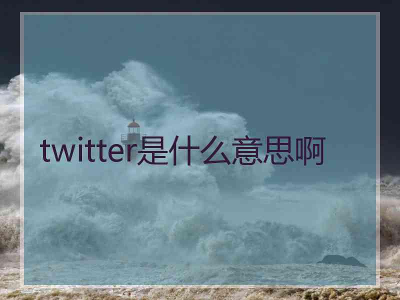 twitter是什么意思啊