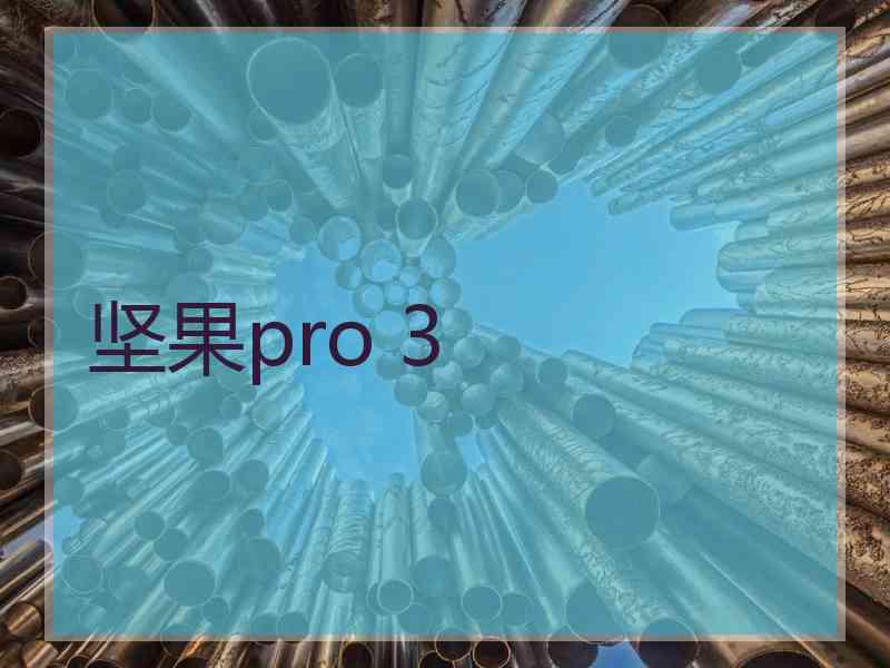 坚果pro 3