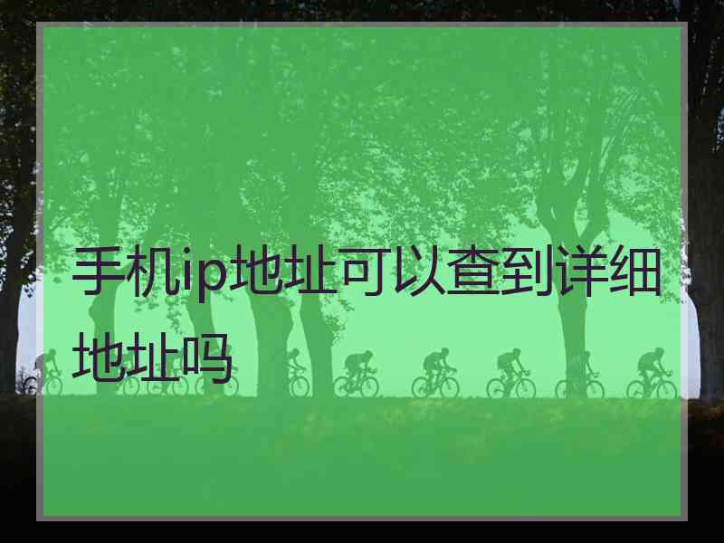 手机ip地址可以查到详细地址吗