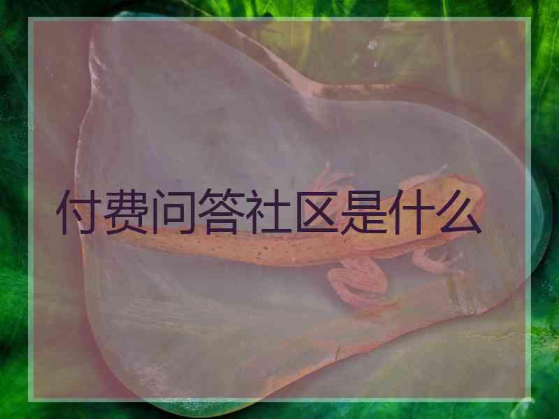 付费问答社区是什么