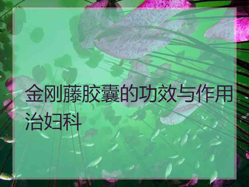 金刚藤胶囊的功效与作用治妇科