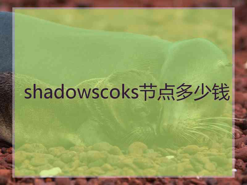 shadowscoks节点多少钱