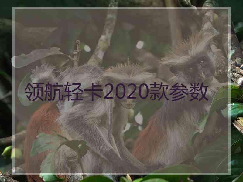 领航轻卡2020款参数