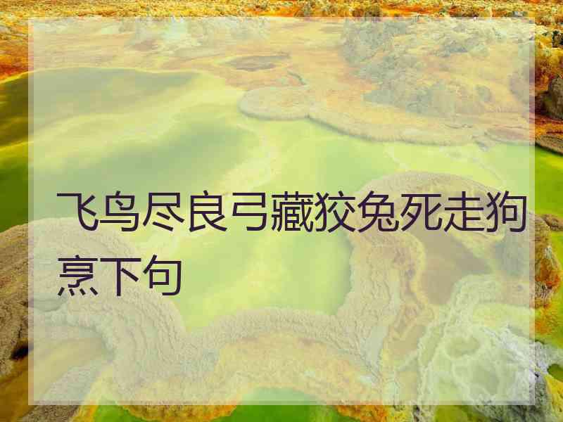 飞鸟尽良弓藏狡兔死走狗烹下句