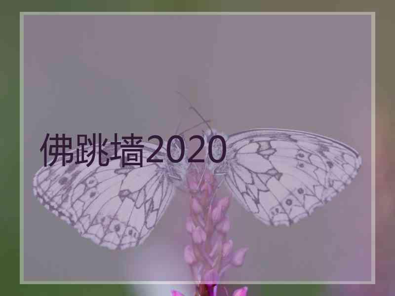 佛跳墙2020