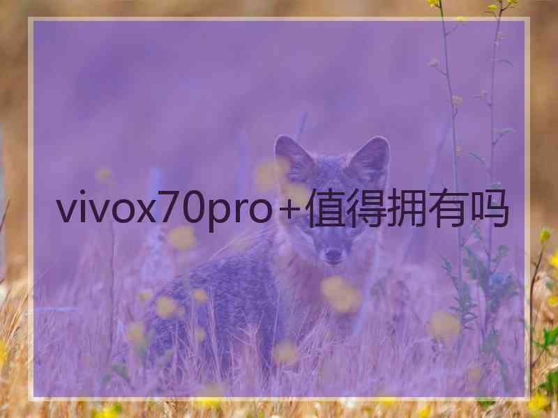 vivox70pro+值得拥有吗