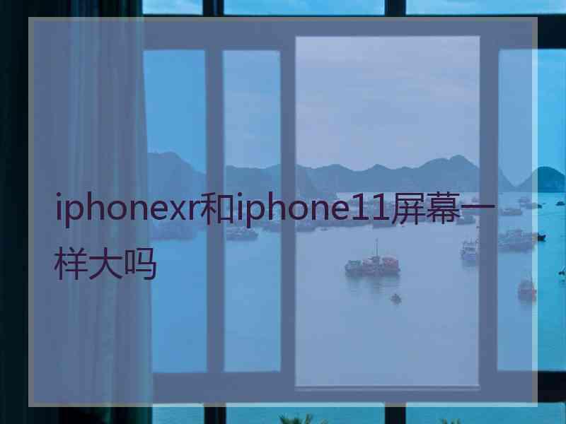 iphonexr和iphone11屏幕一样大吗