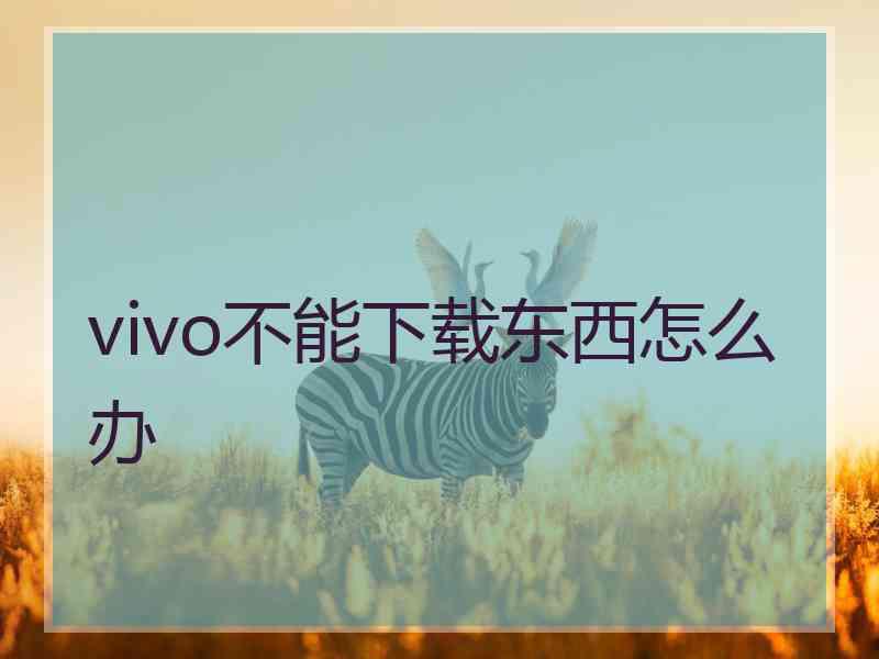 vivo不能下载东西怎么办