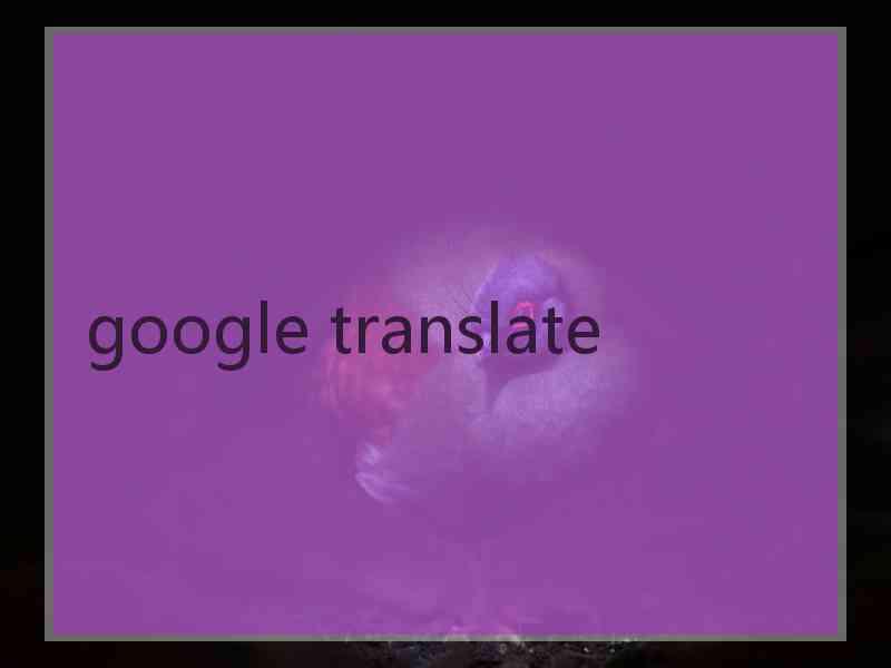 google translate