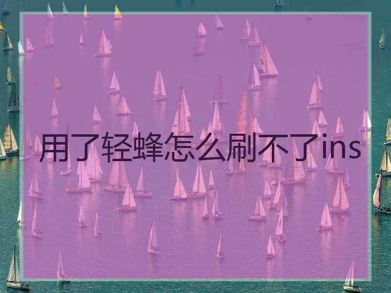 用了轻蜂怎么刷不了ins