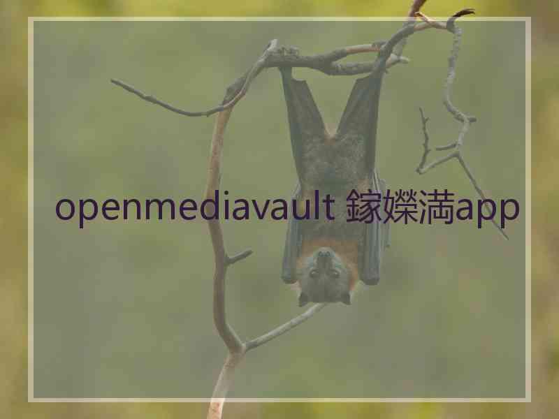 openmediavault 鎵嬫満app