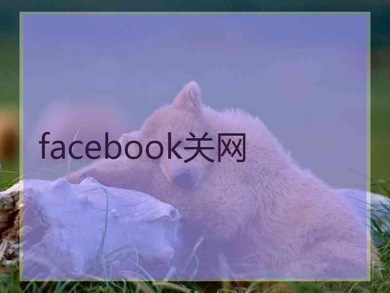 facebook关网