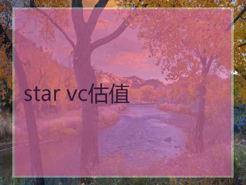 star vc估值