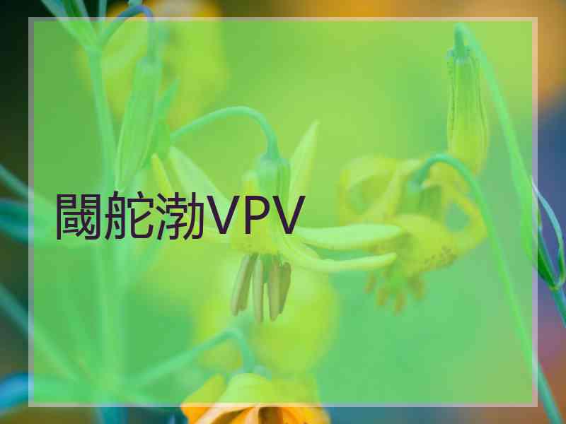 閾舵渤VPV