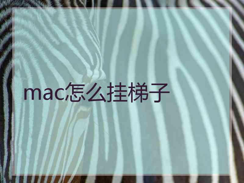 mac怎么挂梯子