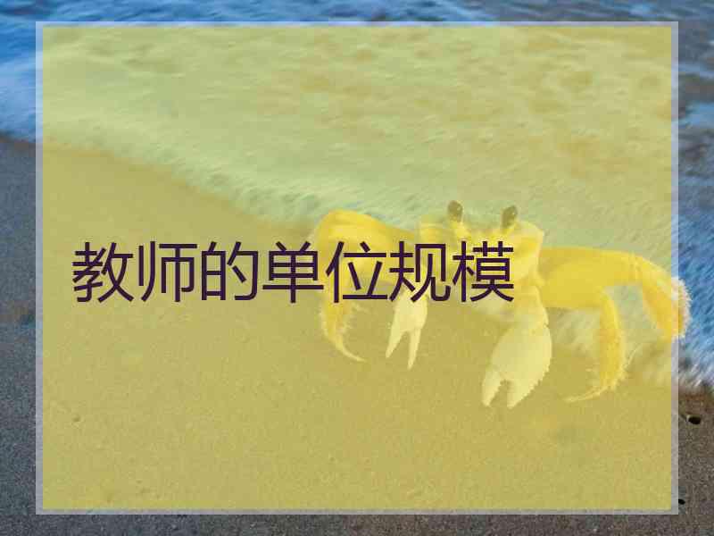 教师的单位规模