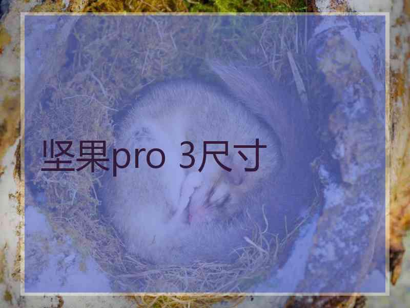 坚果pro 3尺寸