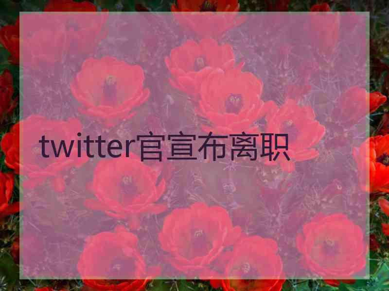 twitter官宣布离职