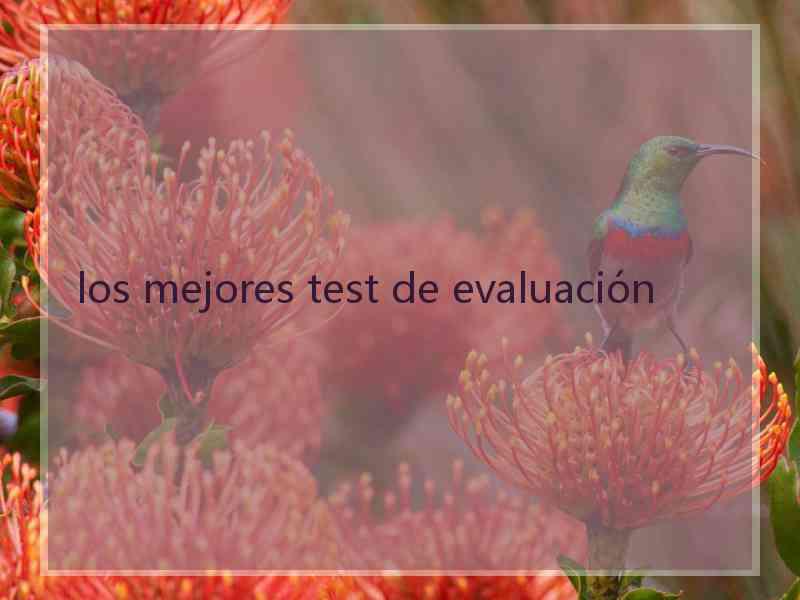 los mejores test de evaluación