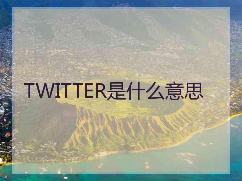 TWITTER是什么意思