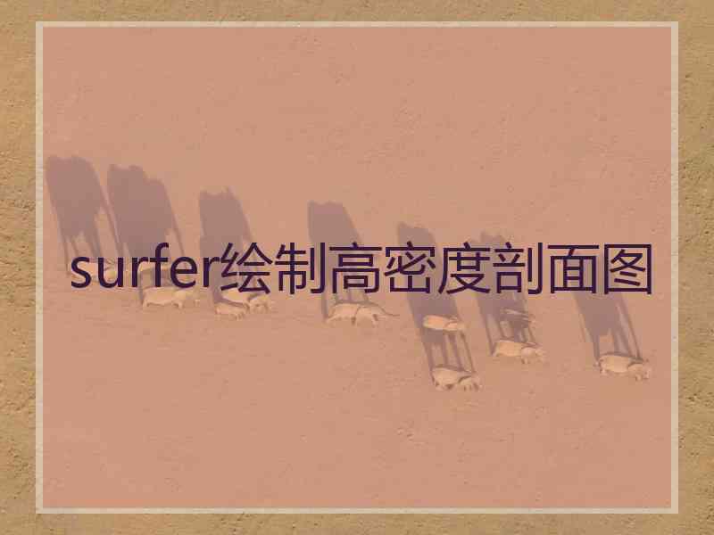 surfer绘制高密度剖面图