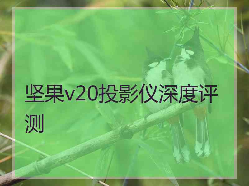 坚果v20投影仪深度评测