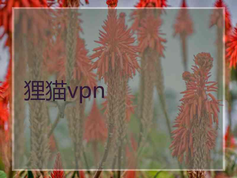 狸猫vpn