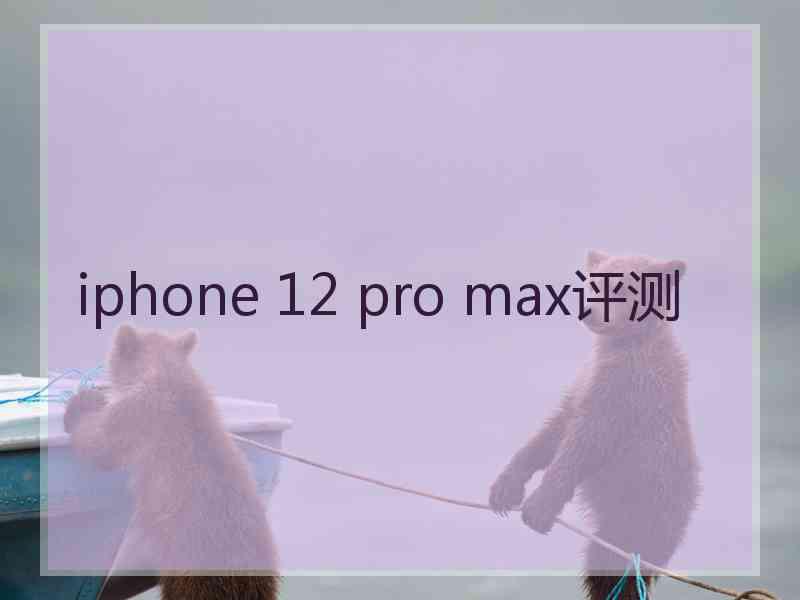 iphone 12 pro max评测