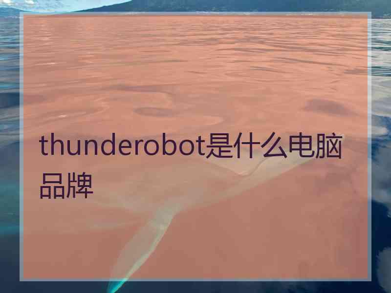 thunderobot是什么电脑品牌