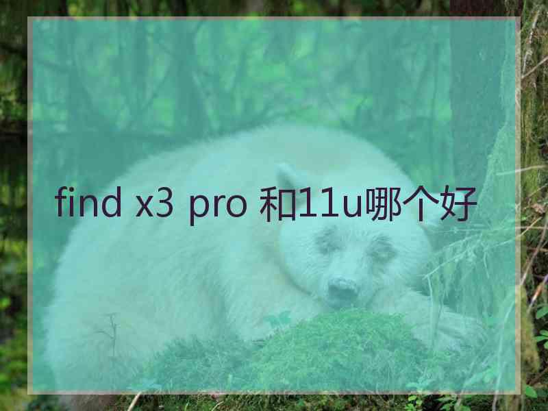 find x3 pro 和11u哪个好