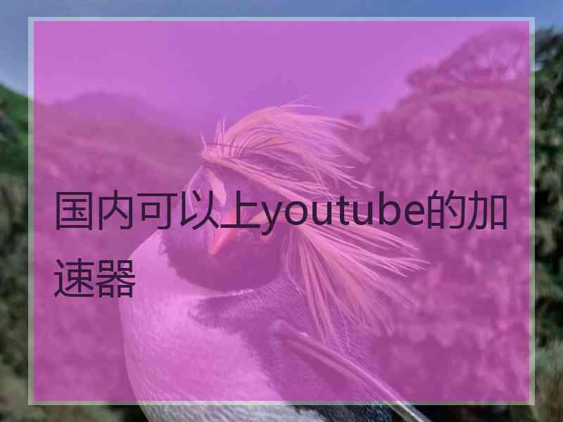 国内可以上youtube的加速器