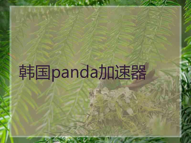 韩国panda加速器