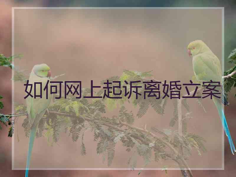 如何网上起诉离婚立案