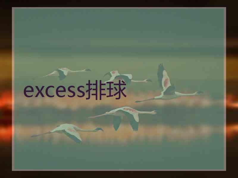 excess排球