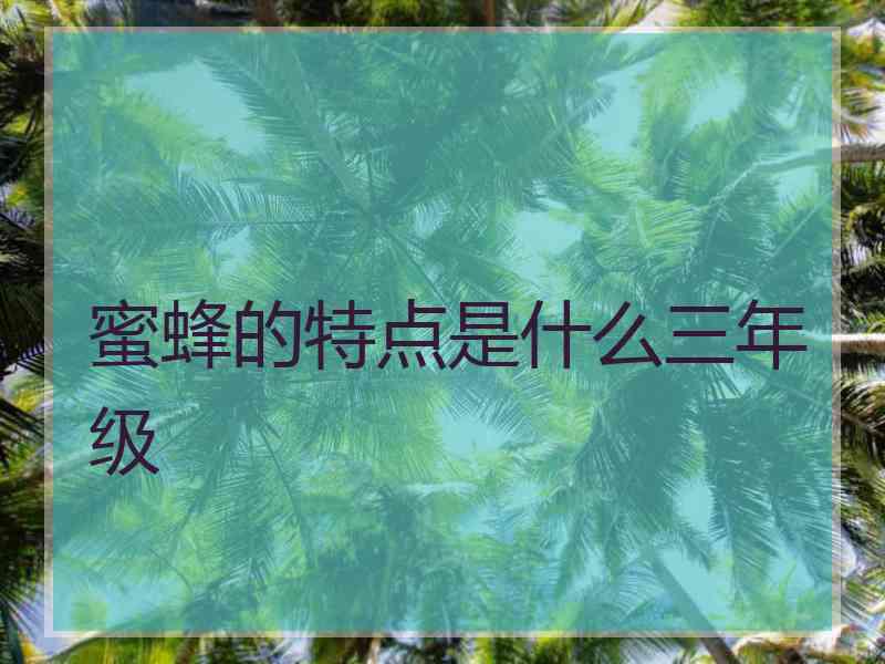 蜜蜂的特点是什么三年级