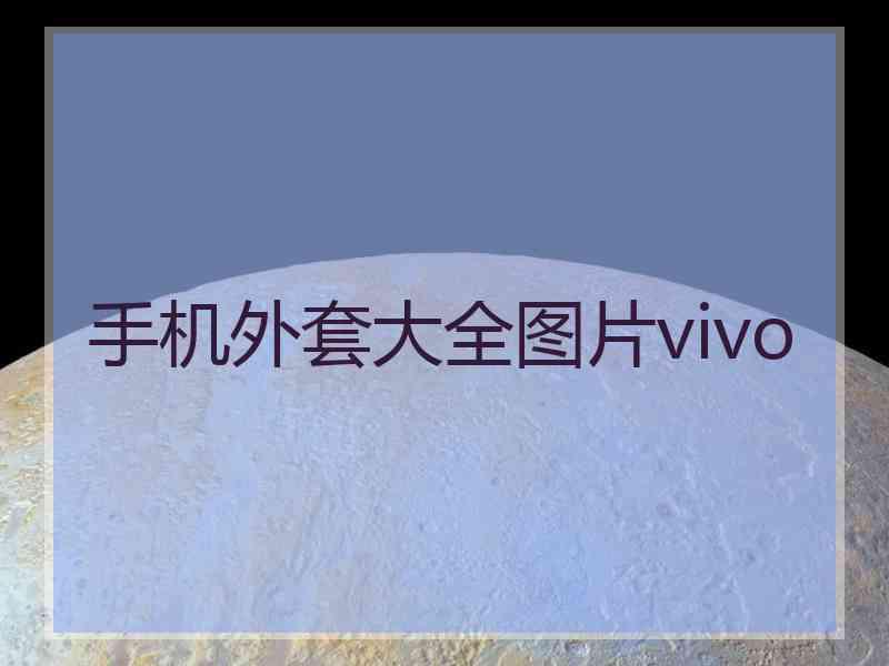 手机外套大全图片vivo