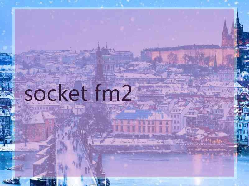 socket fm2