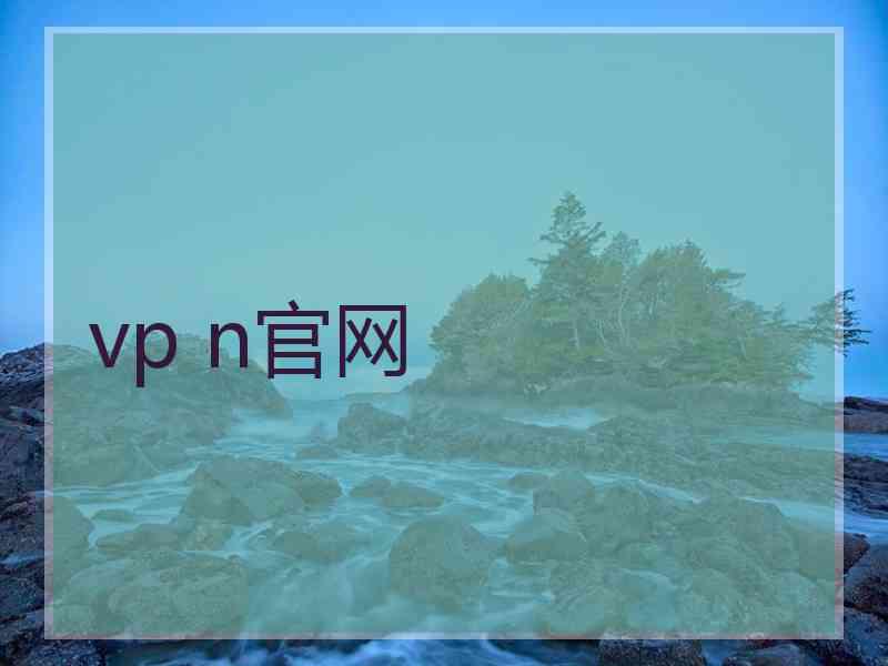 vp n官网