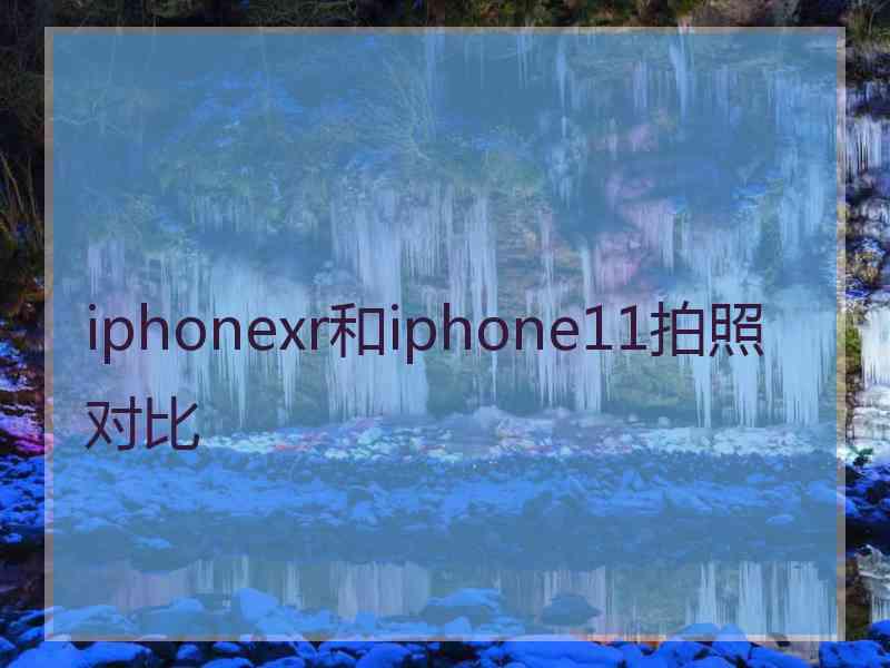 iphonexr和iphone11拍照对比