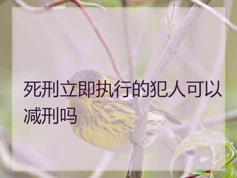 死刑立即执行的犯人可以减刑吗