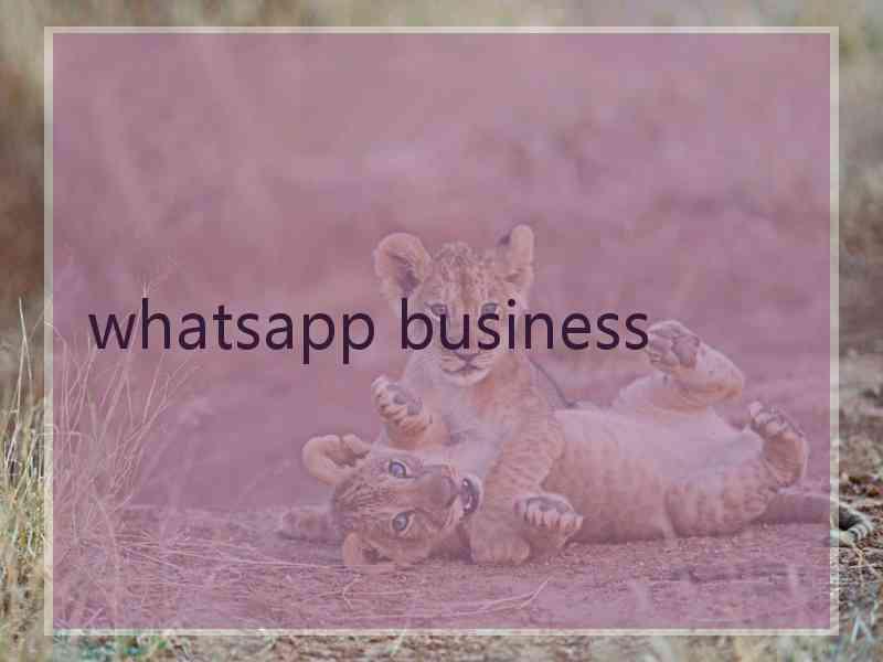 whatsapp business