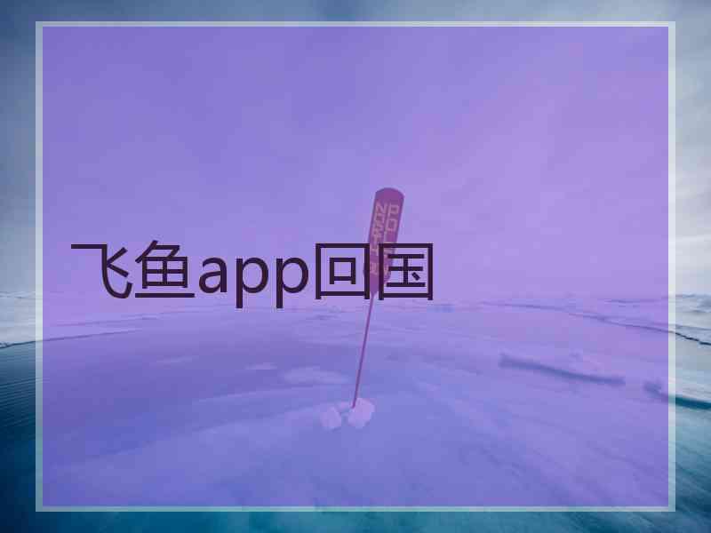 飞鱼app回国