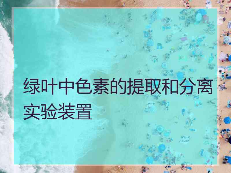 绿叶中色素的提取和分离实验装置