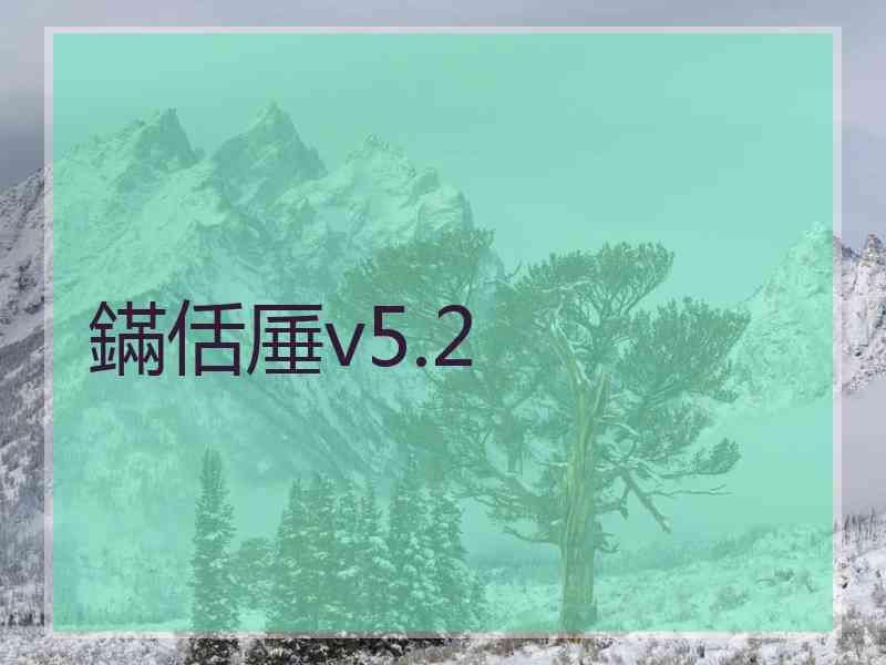 鏋佸厜v5.2