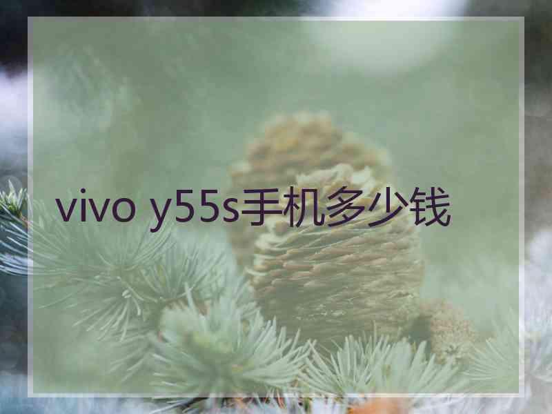 vivo y55s手机多少钱