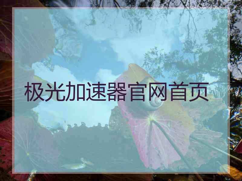 极光加速器官网首页